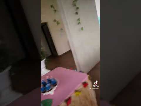Video: idee e decorazione per la festa di Festa per Bambini a Tema Stitch: Guida Definitiva per il 2026