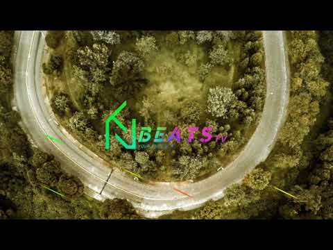 Dj Dav' X Blaiz Fayah - Well (BlacKi Remix)