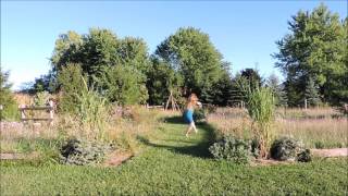 'Pachamama' by Mike Oldfield - Intuitive Dance in my Wild Garden