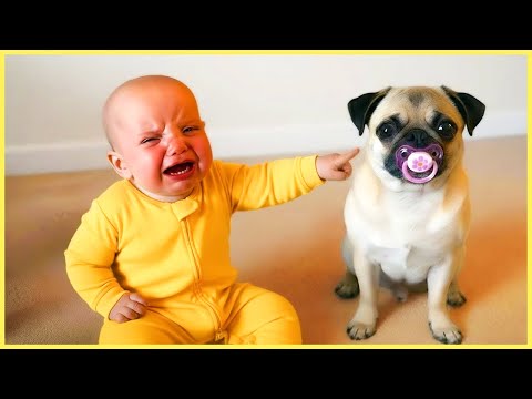 Funny Baby Videos That Will Make You Laughing Out Loud