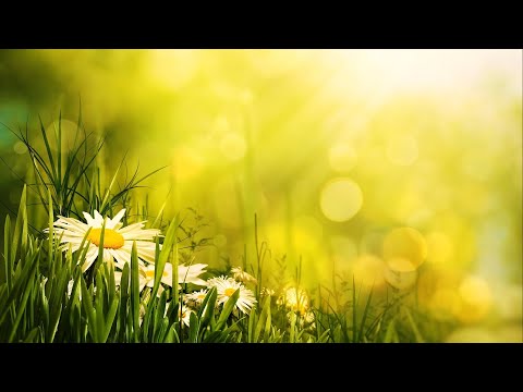 Morning Relaxing Music - Uplifting Feeling and Positive Energy (Ariana)