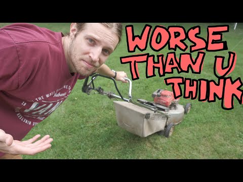 Stop mowing your lawn