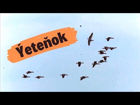 NzS(Ti-em) ft Hemraly - Ýeteňok