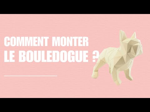 Bouledogue - vidéo de présentation