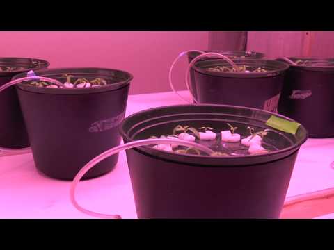 Intervista al direttore del DI4A Paolo Ceccon