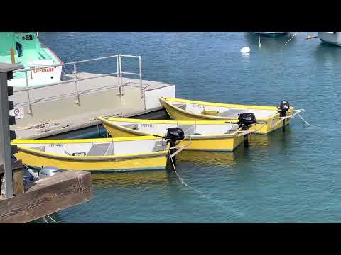 Two Harbors, Catalina Island, California, USA in Full HD