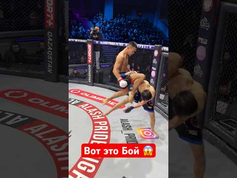 Самурай из павлодара #mma #боец #ufc #бой #бокс #мма #бои #юфс #нокаут #ufs
