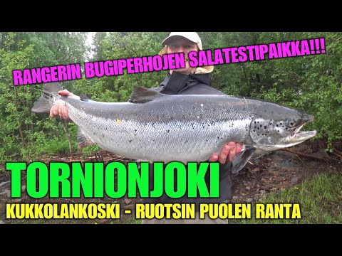 TORNIONJOKI RANTAKALASTUS - KUKKOLANKOSKI ( Ruotsin puolen rantanäkymät ja heittovinkit lohelle )