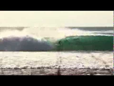 Long Tube Desert Point - Grower - Aug - 2013