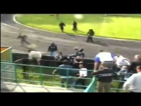 Elita Tarnowa / Unia Tarnów Hooligans