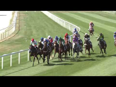 2020.09.20. 01. futam - LOMNICZI BÉLA EMLÉKVERSENY-NYERETLEN KÉTÉVESEK VERSENYE (IV.kat.)