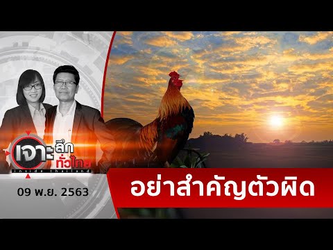 คลิกเพื่อดูคลิปวิดีโอ