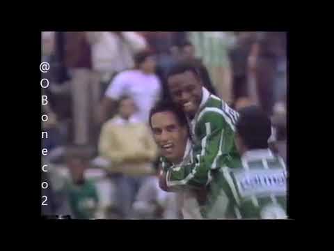 Palmeiras 6x1 Rio Branco - 16/05/1993 - Campeonato Paulista