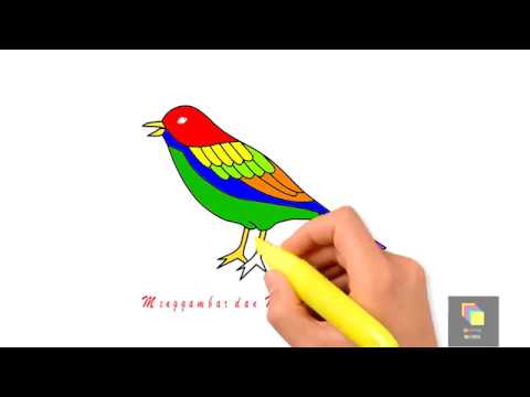 Izarnazar Cara Mewarnai Gambar Burung Merak Izarnazar Cara Mewarnai Gambar Burung Merak