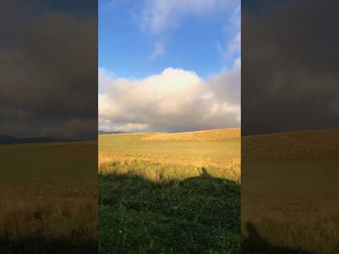 ANCASTI ⛰️🇦🇷Recorriendo la RP2. Catamarca