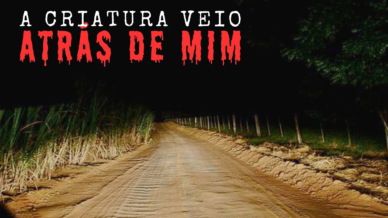 A NOITE QUE A CRIATURA ME PERSEGUIU NA ESTRADA E MAIS UM RELATO.