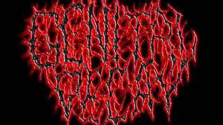 Genital Decay - Rabid (Mortician Cover).wmv