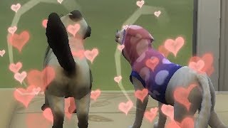 When you're a God in the Sims but your power is meaningless