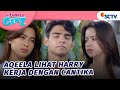 Aqeela Cemburu Harry Kerja Bareng Cantika Asmara Gen Z Episode 342