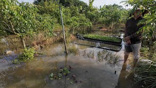Unexpectedly, My Garden Was Flooded, The Whole Family Increased The Dike Capacity And Had A Meal ...