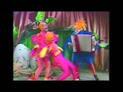 Passarinho, que som é esse? - Sanfona