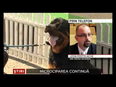 Control la microcipuri 8 Ianuarie 2015