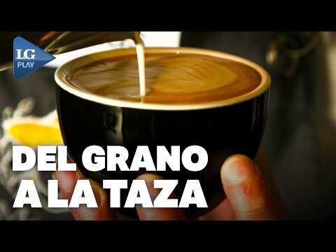 Café distinguido en Yerba Buena: María Bourbon detalla las claves del café de especialidad