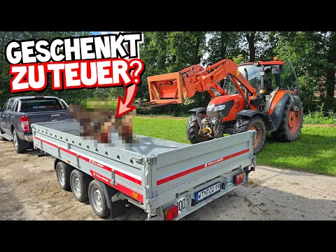 DOCH NUR SCHROTT? | Neueste Errungenschaft ist MÜLL? | Mulchen mit Captain 263 HST | Mr. Moto