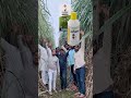 गन्ने की हाइट 16 से 18 फीट करने वाली तीन द�