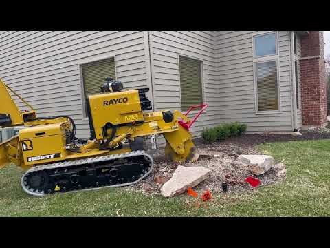 Rayco RG55T-R stump grinding