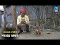 শখের বাচ্চা | Sokher Baccha | তারছেরা ভাদাইমা | Bangla New Comedy Koutuk