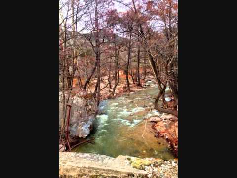 Safira Come Back - Devil in my Bloodstream (Wonder Years acoustic cover)