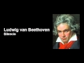 Ludwig van Beethoven - Silencio 