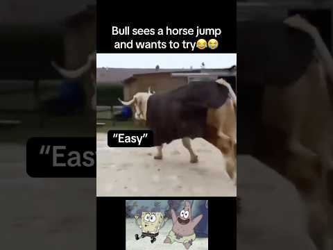 Bull wanted to try😭 #fyp #viral #animals #farm #horse #bull #cute #funny #fypシ #shorts #ytshorts