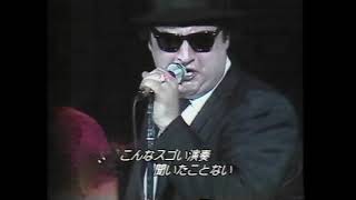 The Blues Brothers Band「Jailhouse Rock」 監獄ロック