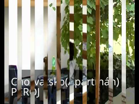 E,2 / (1) Chorvatsko (Dovolená) - PEROJ (Náš Apartmán)