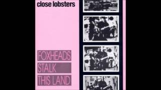Close Lobsters - Just Too Bloody Stupid