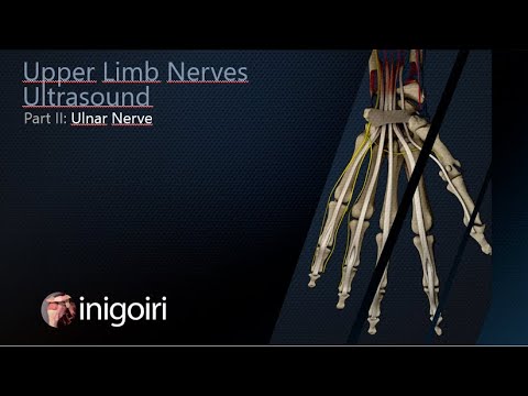 Ulnar Nerve Ultrasound