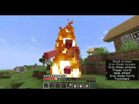Finally killed Warden | in creative minecraft | Play Wings