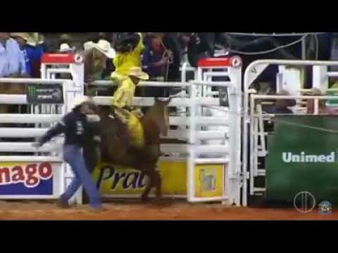 Rodeio  Melhor Animal do Barretos  Potra Atrevida  Cia de Rodeio Tony Nascimento  100%Cutiano