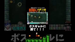 【目隠しマリオ】これが見ずにボスギャル討伐の方法だ！！！