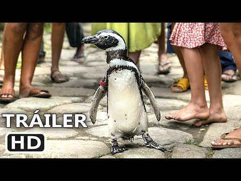 Tráiler Mi Amigo El Pingüino [WEB-DL 4K UHD-SDR] 2024