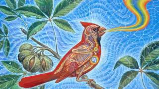 Kieser Velten - Dubolition ᴴᴰ