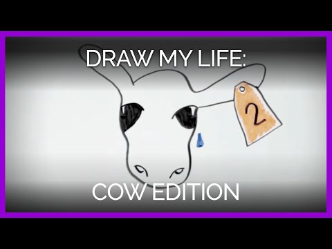 Draw My Life: Cow Edition