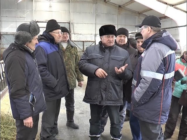 Кышлату чоры һәм эш урыннары