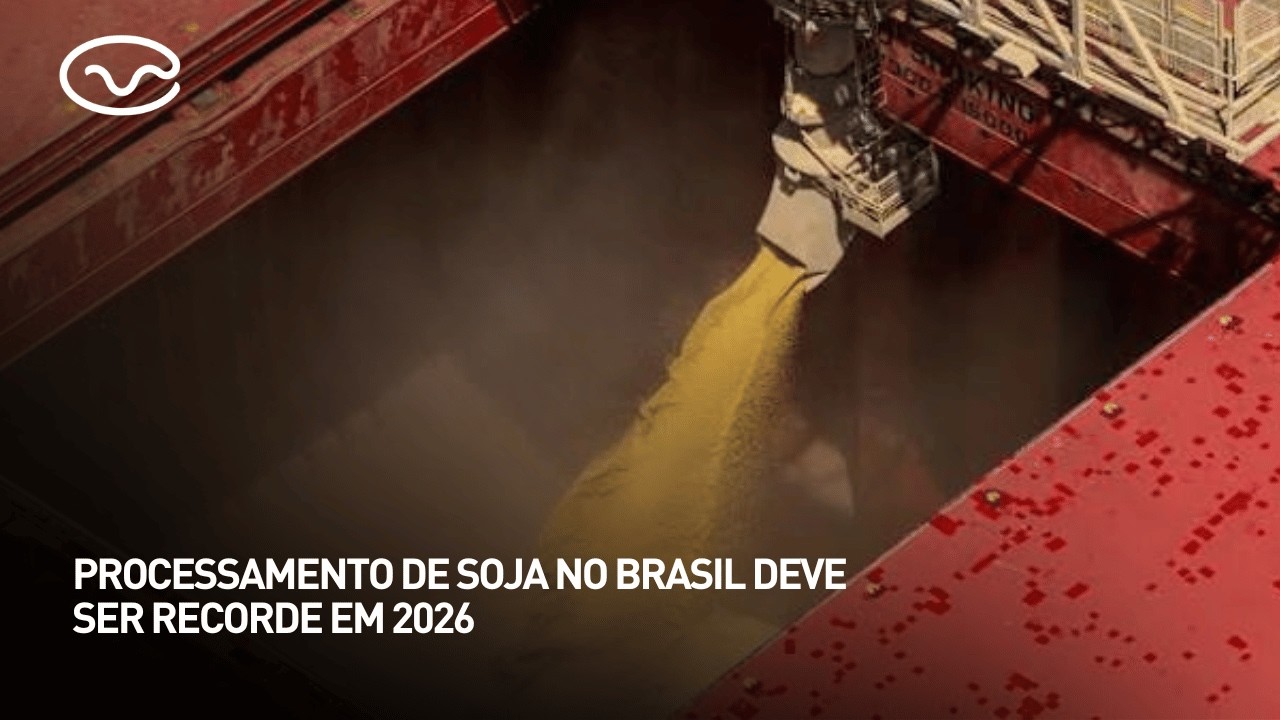 Processamento de soja no Brasil deve ser recorde em 2026
