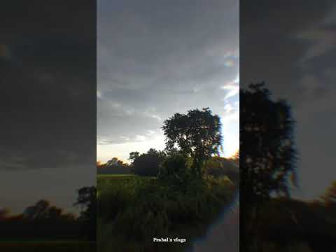 Nature 🌿🍃 ll Prabal's vlogs ll