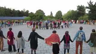 Gobas deja (Elm Dance) ZEGG ekociematā, Vācijā