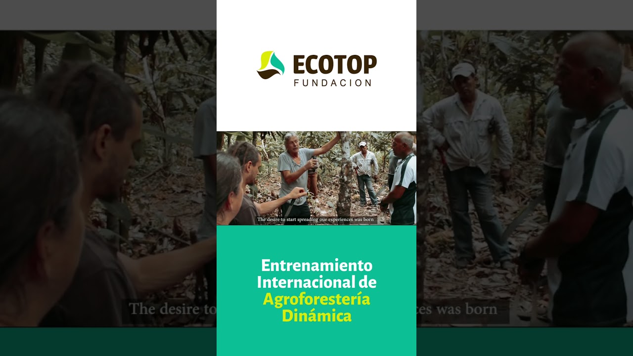 Curso Internacional de Agroforestería Dinámica Bolivia #agricultura #agriculturaregenerativa #ecotop