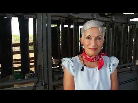 Parte 3 PR Agricultura suroeste Sur 2019